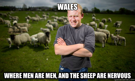 wales where men are men and the sheep are nervous - Sheep Farmer