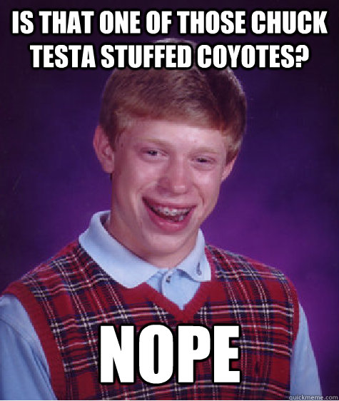 is that one of those chuck testa stuffed coyotes nope - Bad Luck Brian