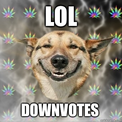 LOL where the fuck are we - Stoner Dog