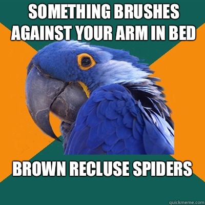 Something brushes against your arm in bed Brown recluse spid - Paranoid Parrot
