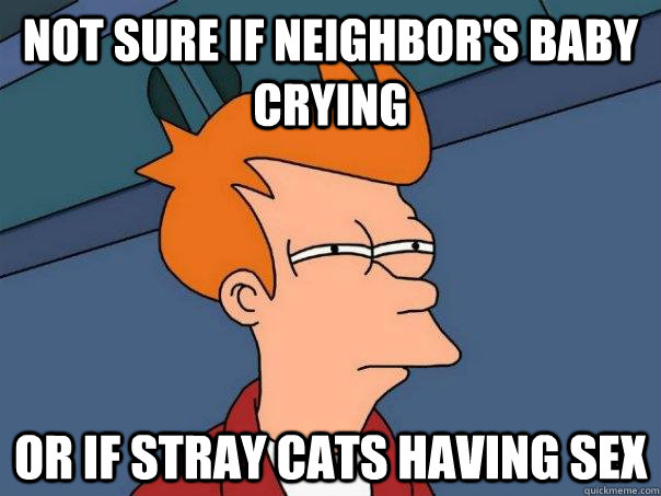 not sure if neighbors baby crying or if stray cats having s - Futurama Fry