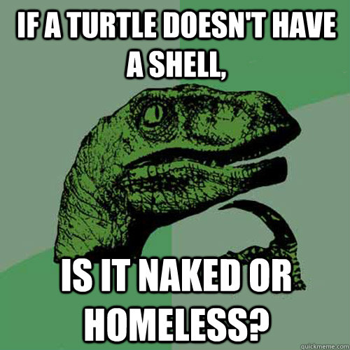 if a turtle doesnt have a shell is it naked or homeless - Philosoraptor