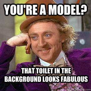 youre a model that toilet in the background looks fabulous - Condescending Wonka