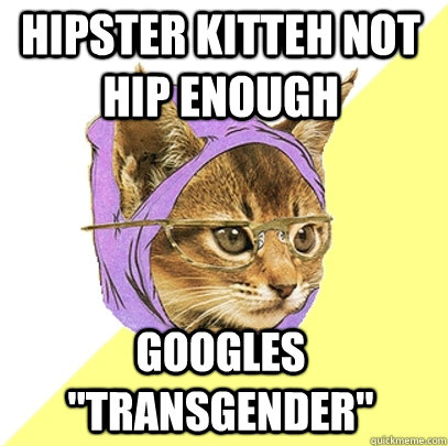 hipster kitteh not hip enough googles transgender - Hipster Kitty