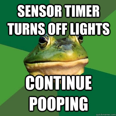 sensor timer turns off lights continue pooping - Foul Bachelor Frog