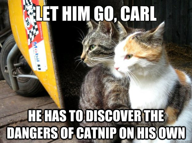 let him go carl he has to discover the dangers of catnip on - Restraining Cat