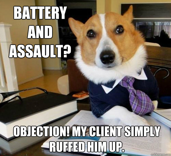 battery and assault objection my client simply ruffed him - Lawyer Dog