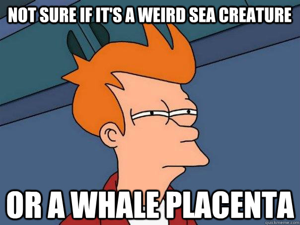 not sure if its a weird sea creature or a whale placenta - Futurama Fry