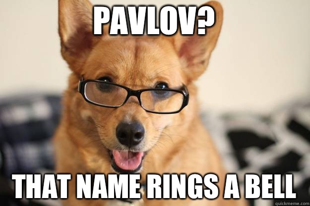 Pavlov That name rings a bell - Freudawg