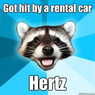 got hit by a rental car hertz - Lame Pun Coon