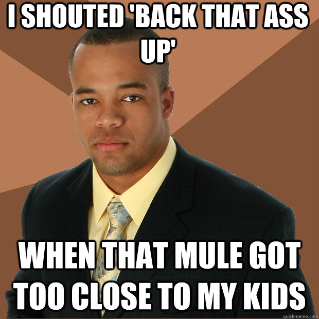 i shouted back that ass up when that mule got too close to - Successful Black Man
