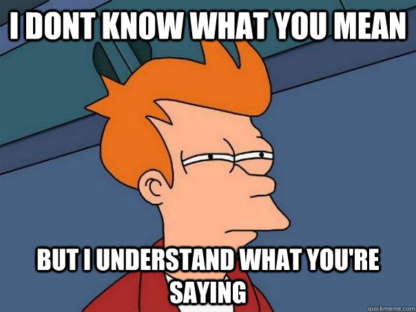 i dont know what you mean but i understand what youre sayin - Futurama Fry