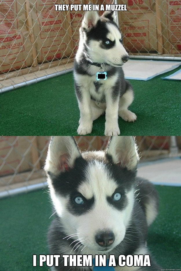 they put me in a muzzel i put them in a coma - Insanity puppy