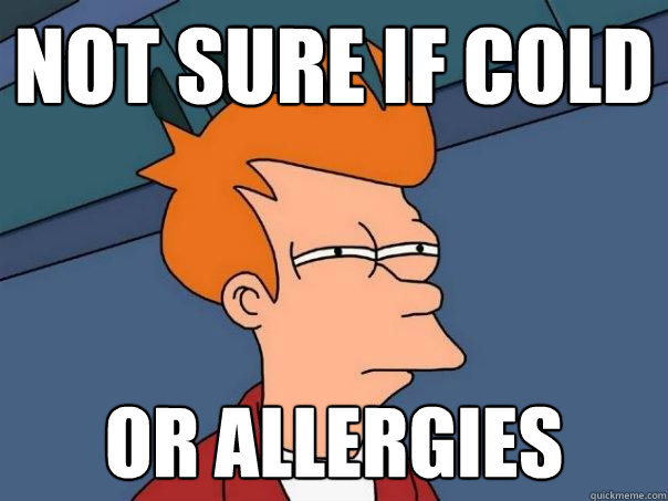 not sure if cold or allergies - Futurama Fry