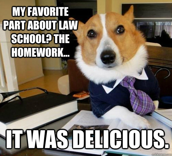 my favorite part about law school the homework it was de - Lawyer Dog