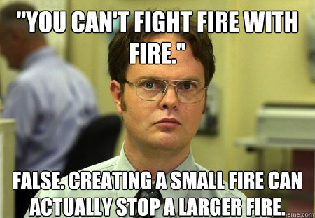 you cant fight fire with fire false creating a small fi - Schrute