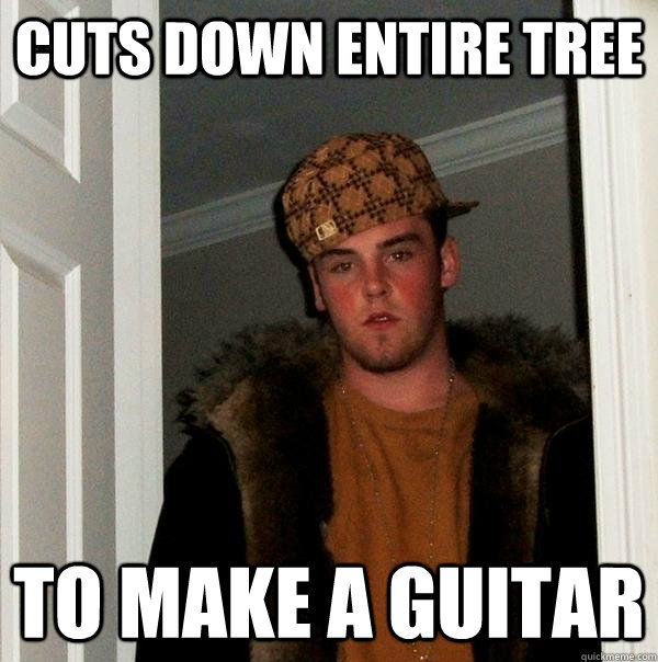 cuts down entire tree to make a guitar - Scumbag Steve