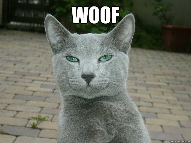 woof - 10 Cat