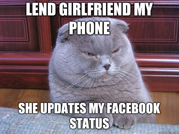 Lend girlfriend my phone She updates my Facebook status - Grumpy Cat