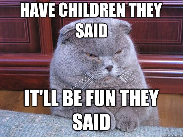 Have children they said Itll be fun they said - Grumpy Cat
