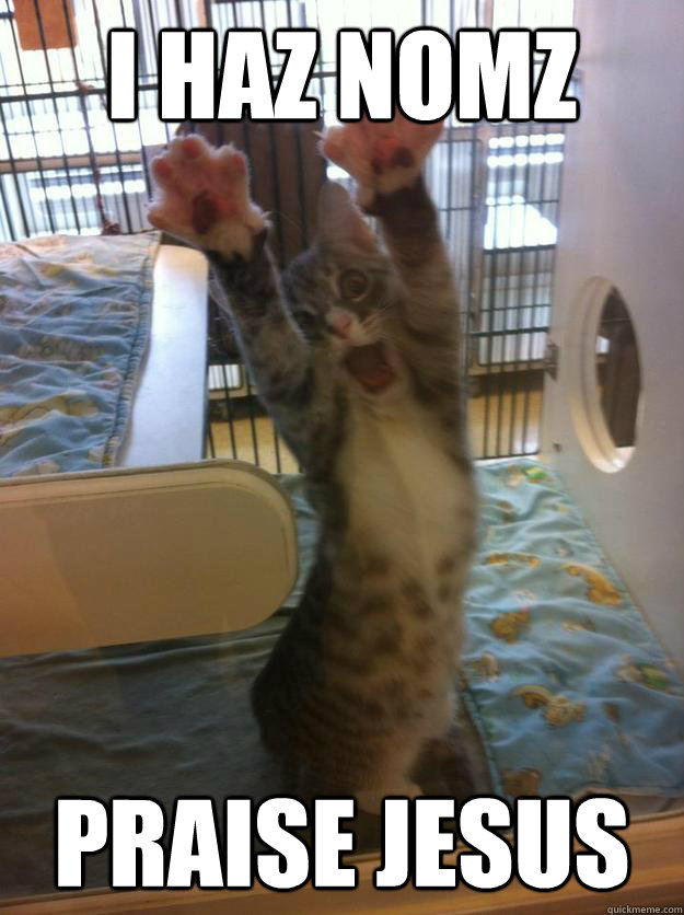 i haz nomz praise jesus - Hands Up Kitty
