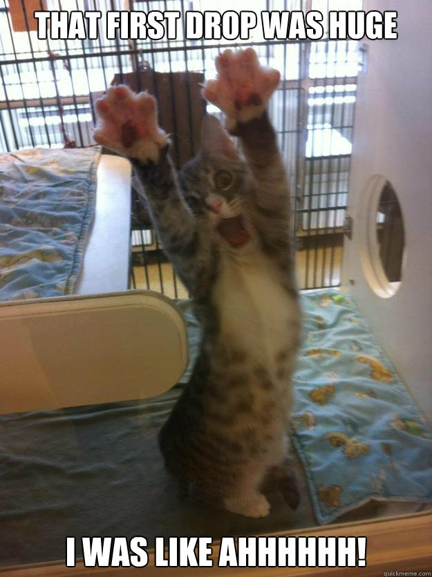 that first drop was huge i was like ahhhhhh - Hands Up Kitty