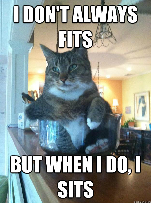 i dont always fits but when i do i sits - Worlds Most Interesting Cat