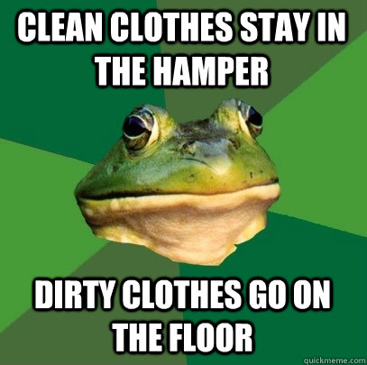 clean clothes stay in the hamper dirty clothes go on the flo - Foul Bachelor Frog