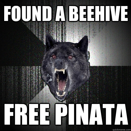 found a beehive free pinata - Insanity Wolf