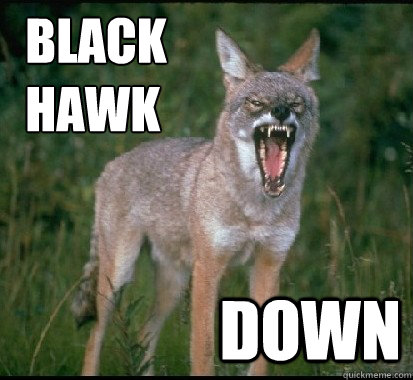 black hawk down - YELLING YOTES FAN COYOTE