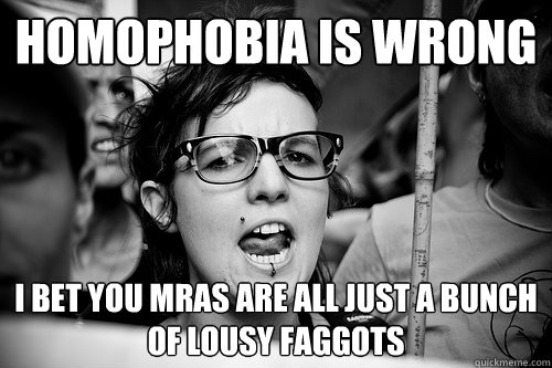 homophobia is wrong i bet you mras are all just a bunch of l - Hypocrite Feminist