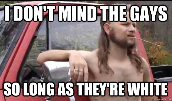 i dont mind the gays so long as theyre white - Almost Politically Correct Redneck