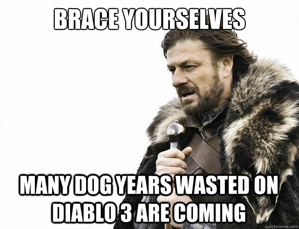 brace yourselves many dog years wasted on diablo 3 are comin - Brace Yourself