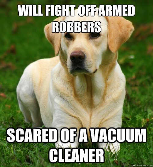 will fight off armed robbers scared of a vacuum cleaner - Dog Logic