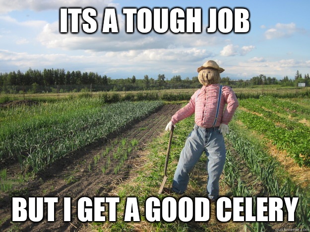 Its a tough job But i get a good celery - Scarecrow