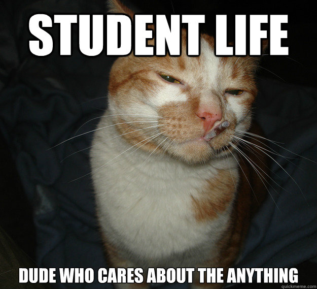student life dude who cares about the anything  - Cool Cat Craig