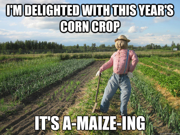 im delighted with this years corn crop its amaizeing - Scarecrow