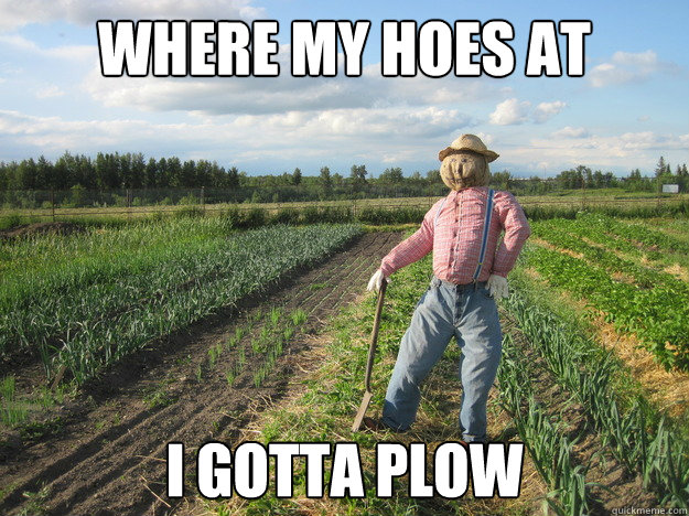 where my hoes at i gotta plow - Scarecrow