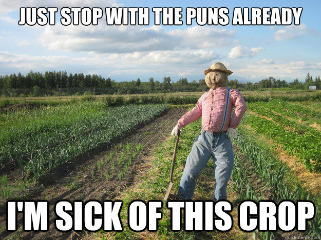 just stop with the puns already im sick of this crop - Scarecrow