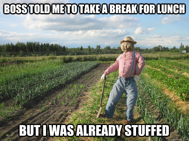 boss told me to take a break for lunch but i was already stu - Scarecrow