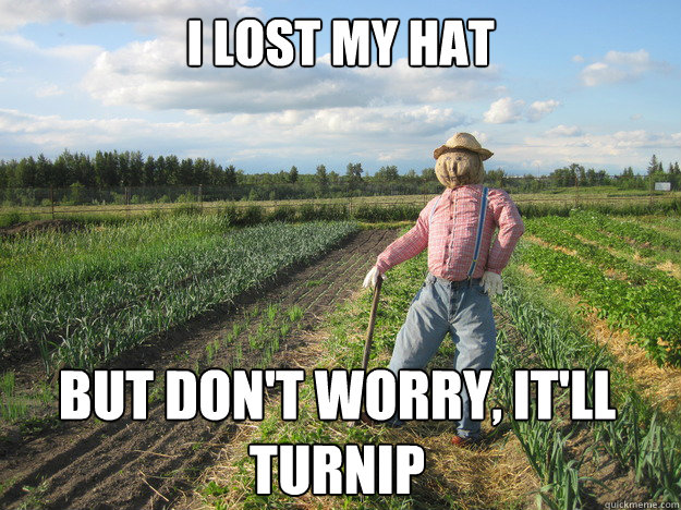 i lost my hat but dont worry itll turnip - Scarecrow