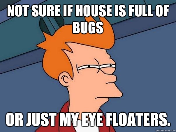 Not sure if house is full of bugs Or just my eye floaters - Futurama Fry