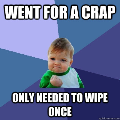 went for a crap only needed to wipe once - Success Kid