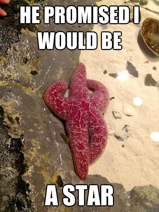 sassy starfish disapproves of your shenanigans