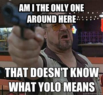 am i the only one around here that doesnt know what yolo me - Pedantic Walter