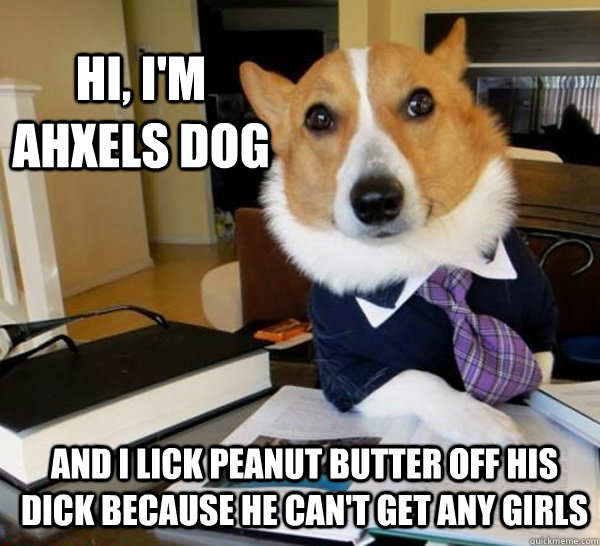 dog licking peanut butter off balls dog licking peanut butter off balls