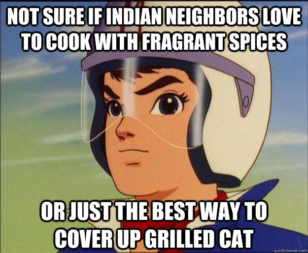 not sure if indian neighbors love to cook with fragrant spic - Speed Racist