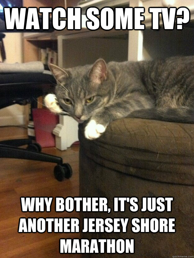 watch some tv why bother its just another jersey shore ma - Bored House cat