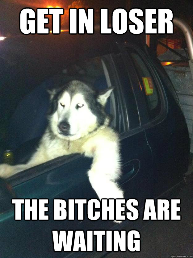 get in loser the bitches are waiting - Mean Dog