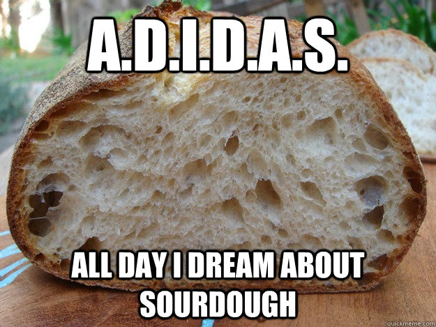 adidas all day i dream about sourdough -